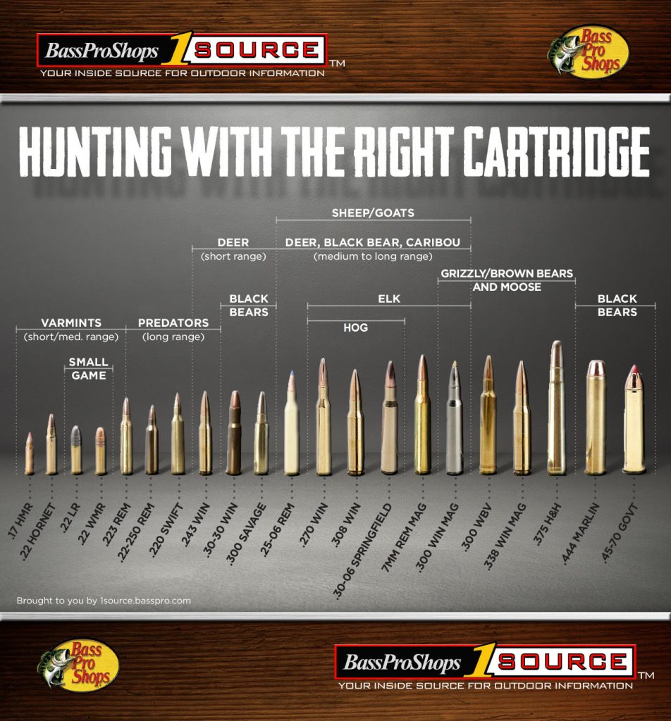 Choosing the Optimal Ammunition for Small Game Hunting