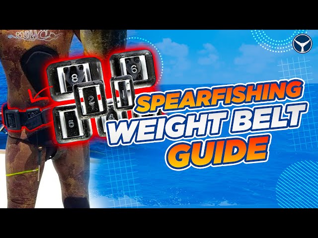 A Guide to Selecting the Ideal Weight for a Spearfishing Belt