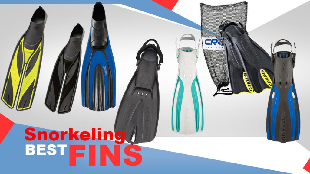 Choosing the Perfect Snorkeling Fins