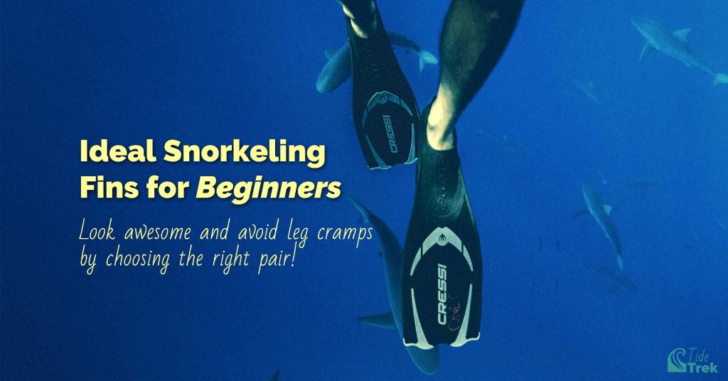 Choosing the Perfect Snorkeling Fins