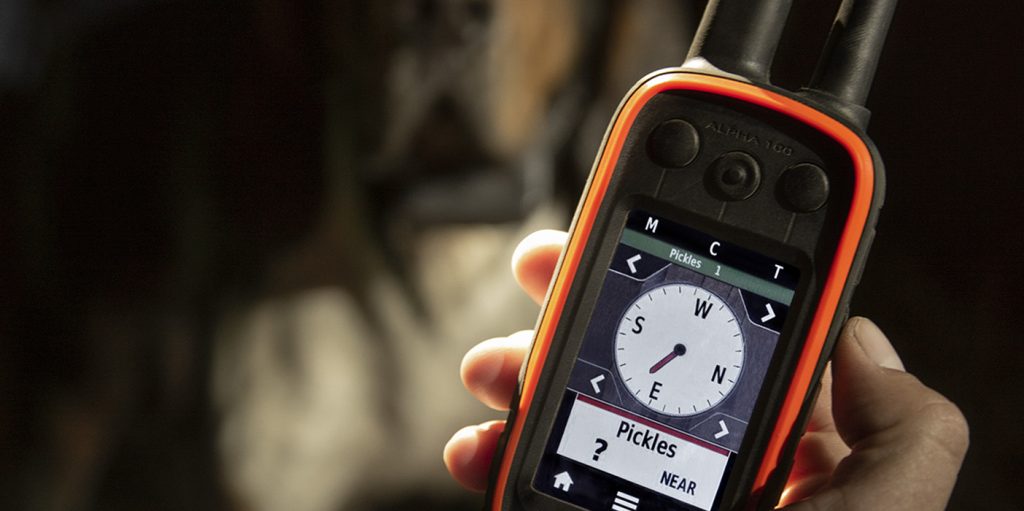Step-by-Step Guide on Calibrating the Compass in Your GPS Device