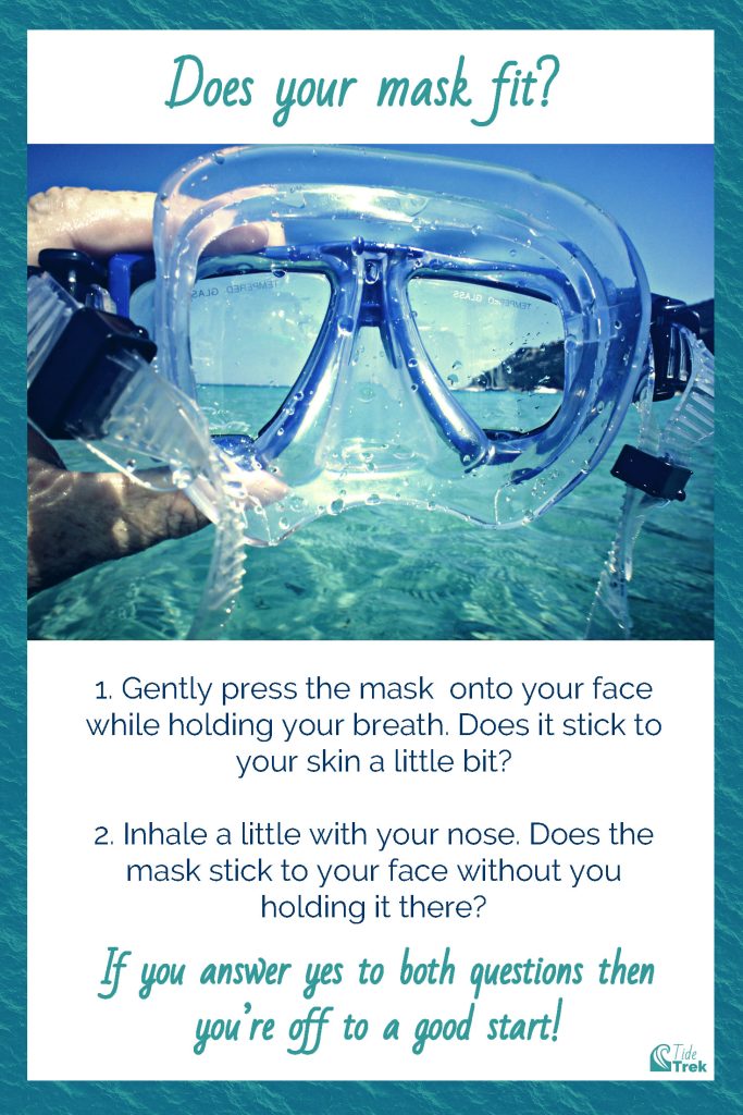 Top 5 Key Features to Consider when Buying a Snorkel Mask