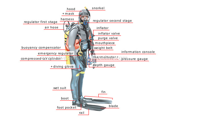 Understanding the Key Features of a Quality Scuba Diving Buoyancy Control Device (BCD)