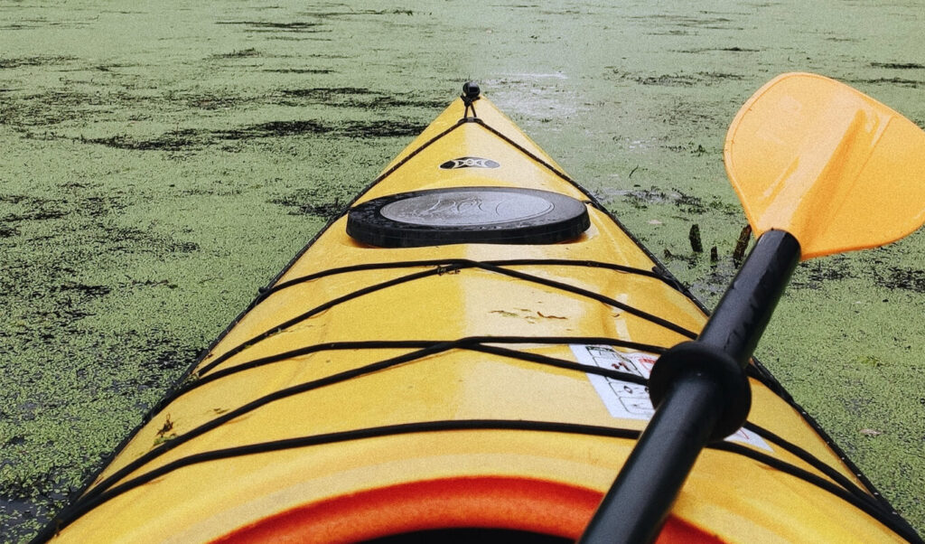 Beginners guide to choosing the perfect kayak paddle for touring