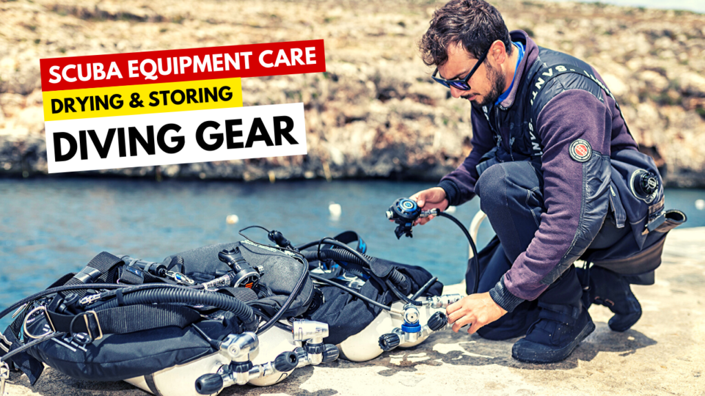 Essential Tips for Caring and Storing Your Scuba Diving BCD