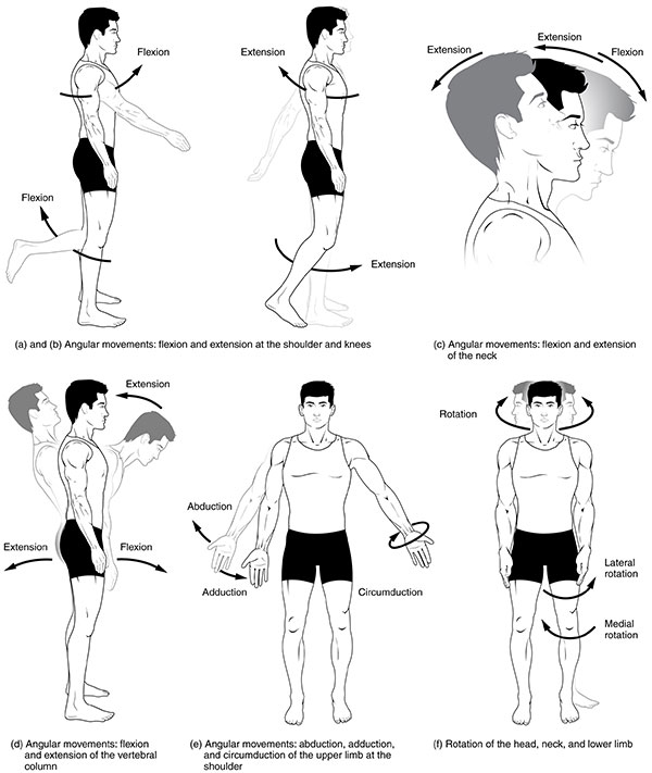 Preventing and Treating Swimmers Shoulder: Essential Tips and Techniques