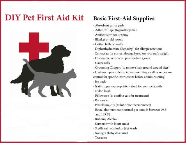 The Importance of Pet-Specific Emergency Kits: What You Need to Know