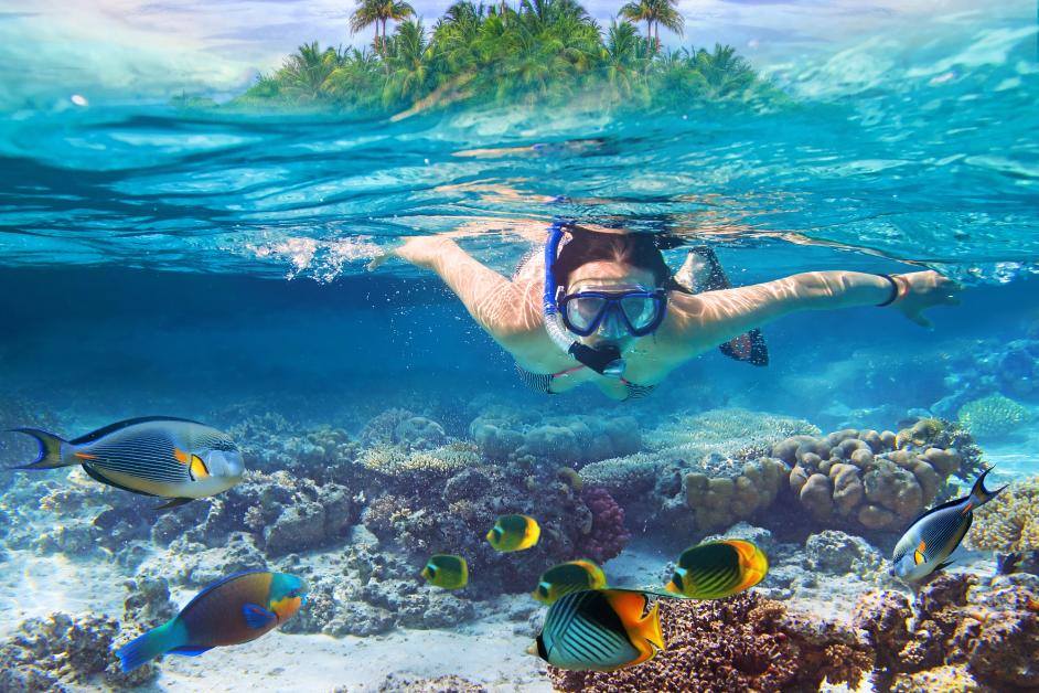 The Top Snorkeling Destinations for Beginners