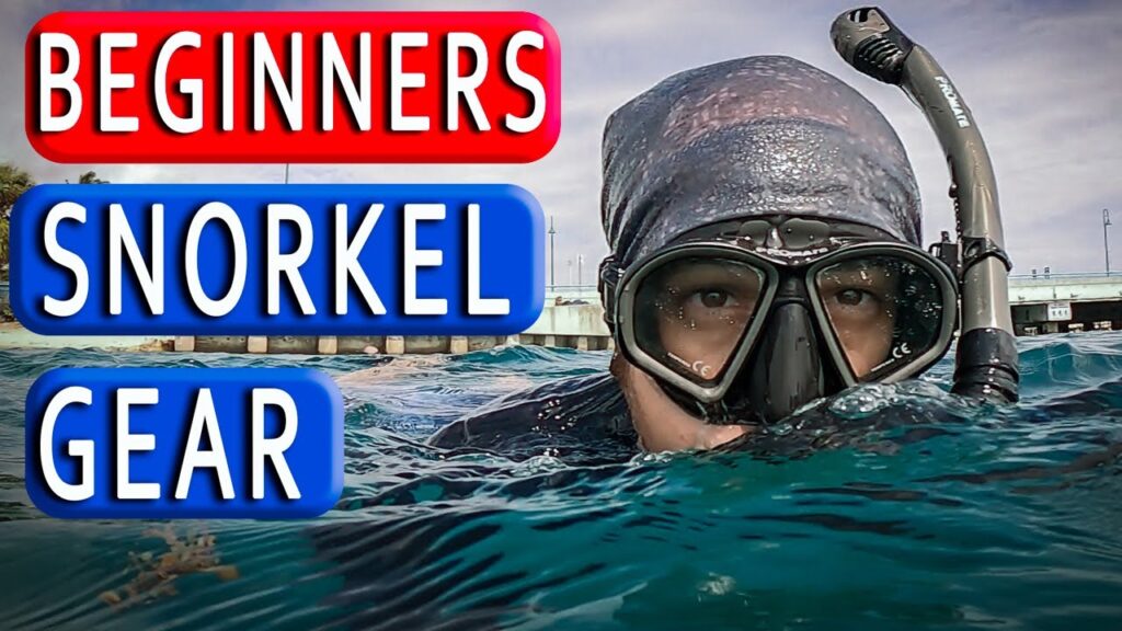 The Ultimate Guide to Snorkel Gear for Beginners
