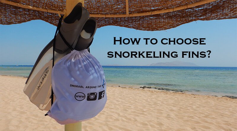 Tips for Selecting the Perfect Snorkeling Fins for Kids