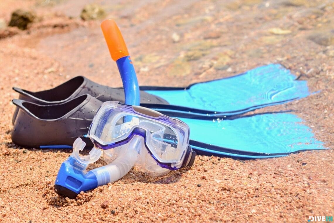 Top 10 Snorkel Gear for Freediving Outdoor Life Reviews