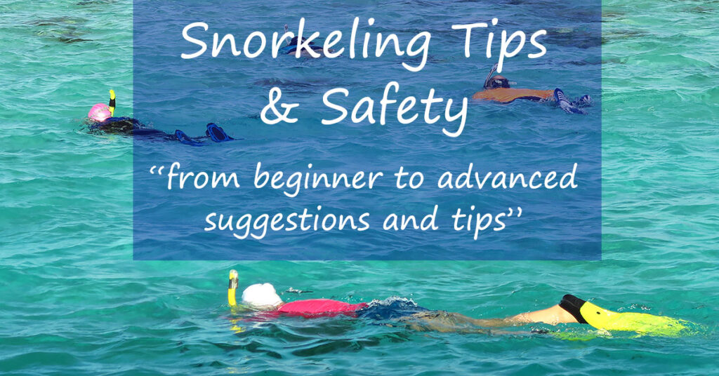 Top Safety Guidelines for Snorkeling with Marine Life