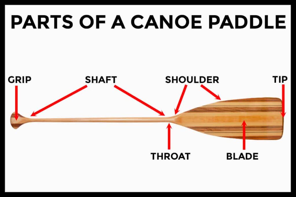 Understanding the Distinction between Kayak Paddles and Canoe Paddles