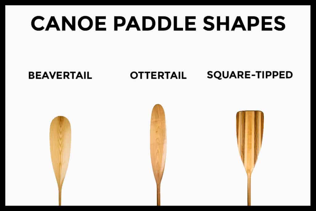 Understanding the Distinction between Kayak Paddles and Canoe Paddles